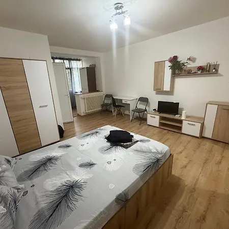 Lujerului Veteranilor * Bükreş
