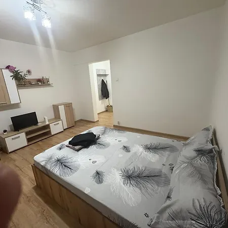 Daire Lujerului Veteranilor Bükreş